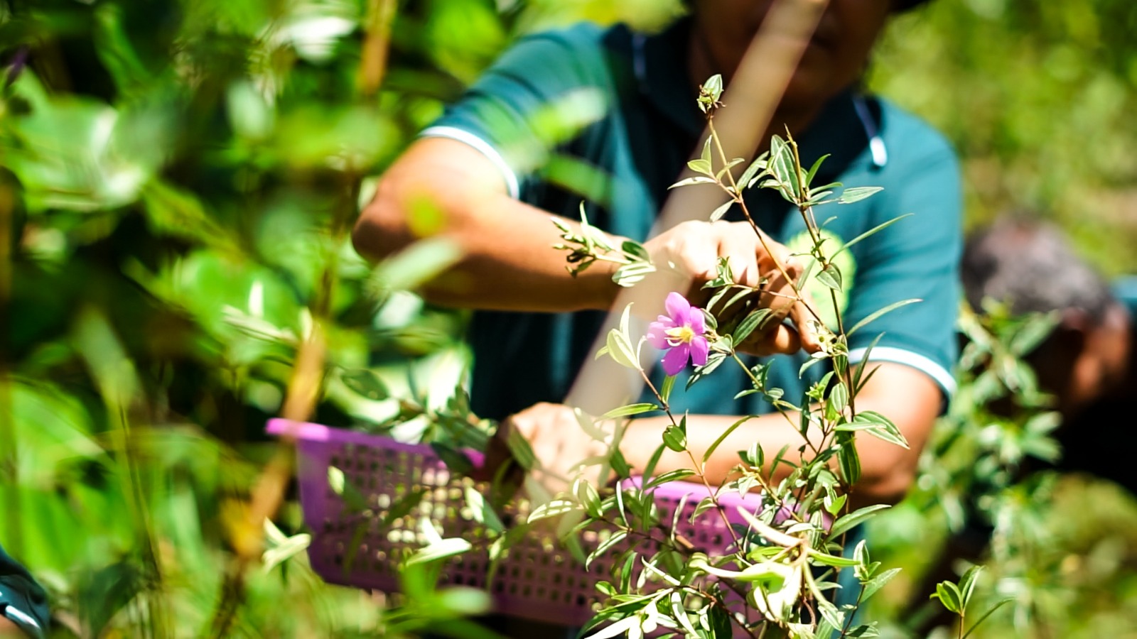 Naturista Farmers Society 4