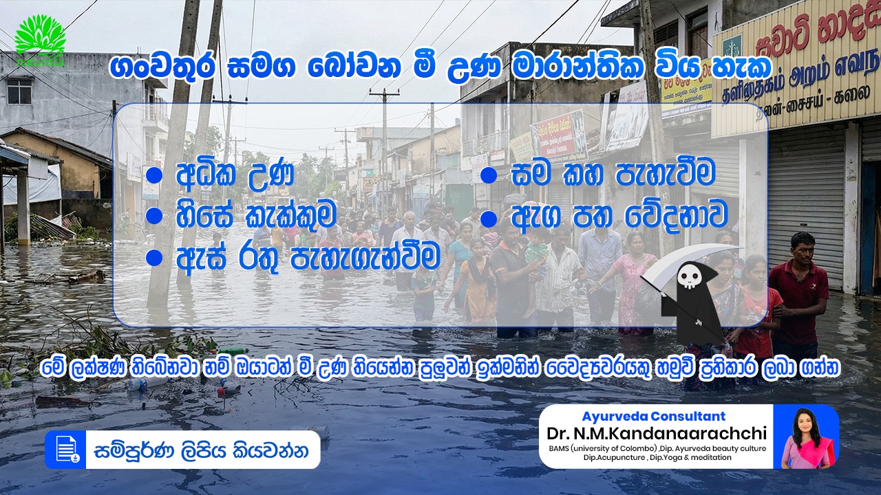 ගංවතුර සහ මී උණ (Leptospirosis) අවදානම: ඔබ දැනගතයුතු දේ